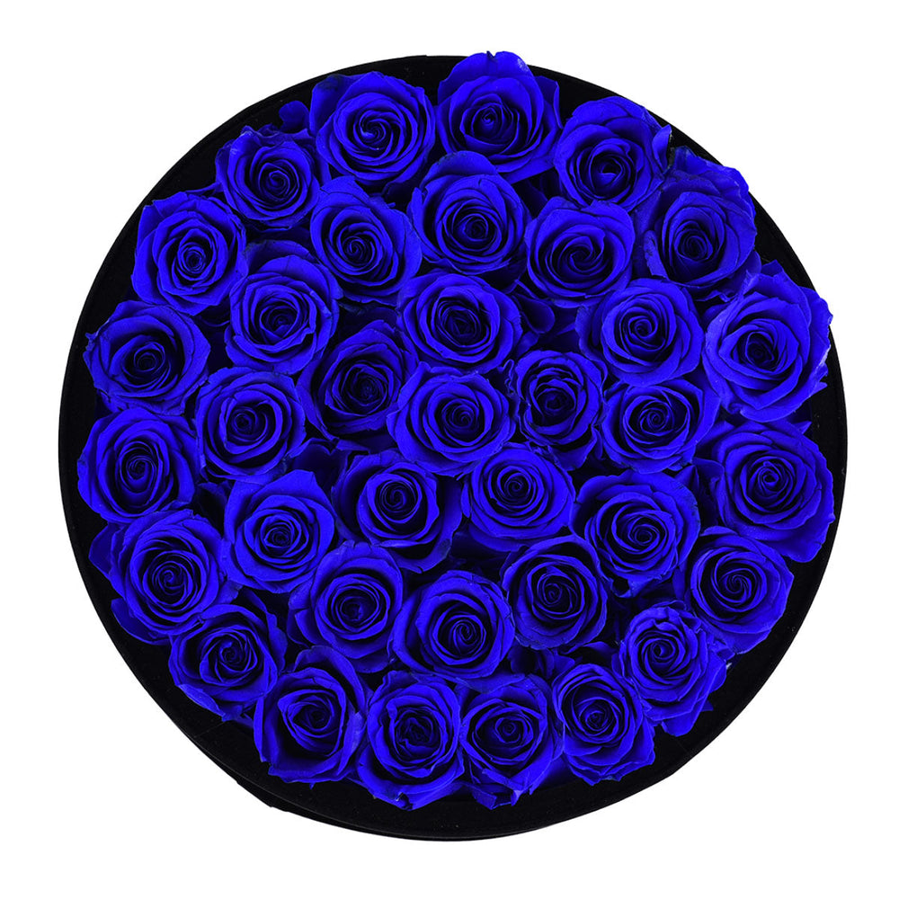 Intense Black Velvet Royal Blue 36 | Rose Forever 