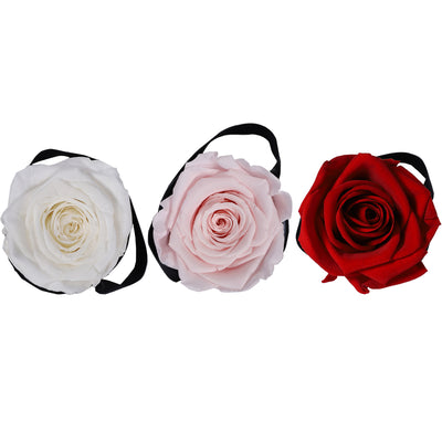 Set of 3 Mini Mixed Bundle | Rose Forever 