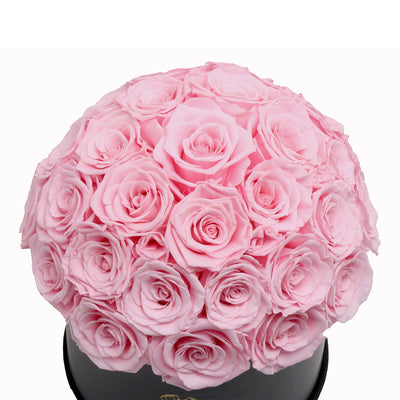 Dome Pearl Pink 35 | Rose Forever 