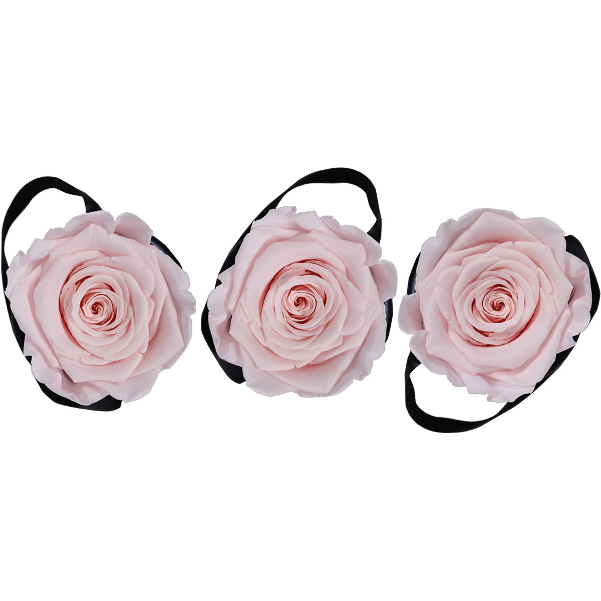 Set of 3 Mini Pink | Rose Forever 