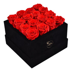 16 Red Roses - Black Square Velvet Box