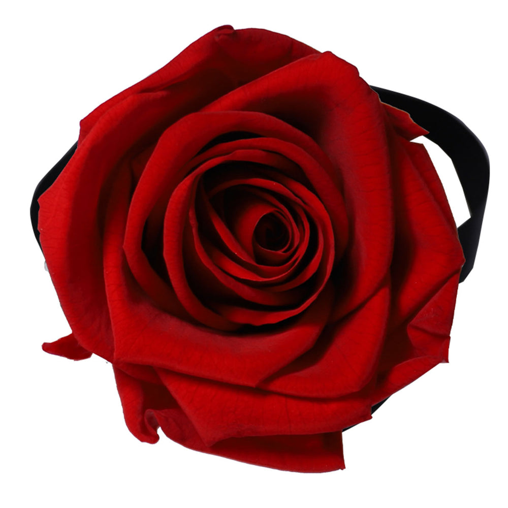 Mini Red 1 | Rose Forever 