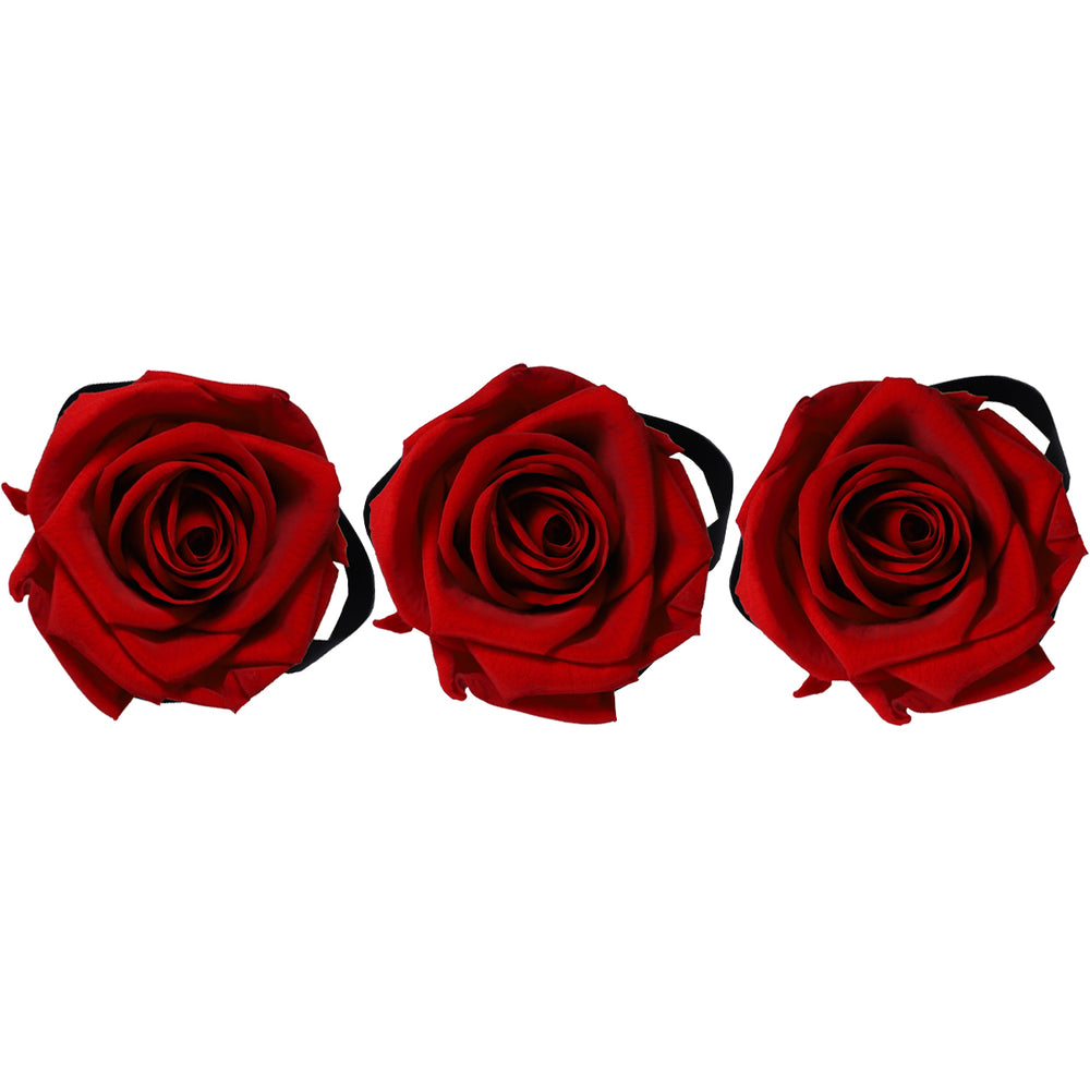 Set of 3 Mini Red | Rose Forever 