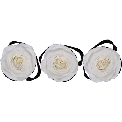 Set of 3 Mini White | Rose Forever 