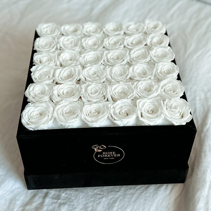 black velvet box with 36 white roses