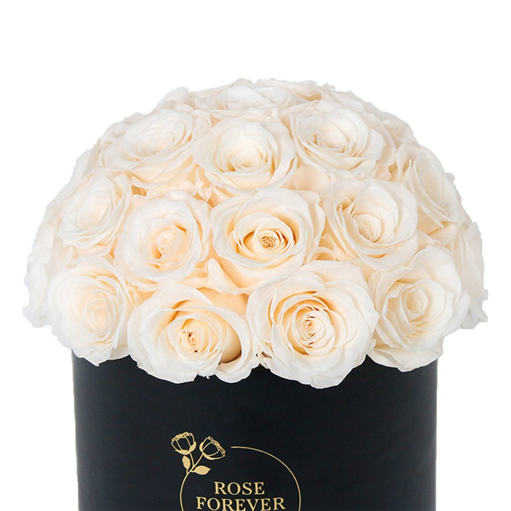 Ivory Roses dome 35 - Rose Forever
