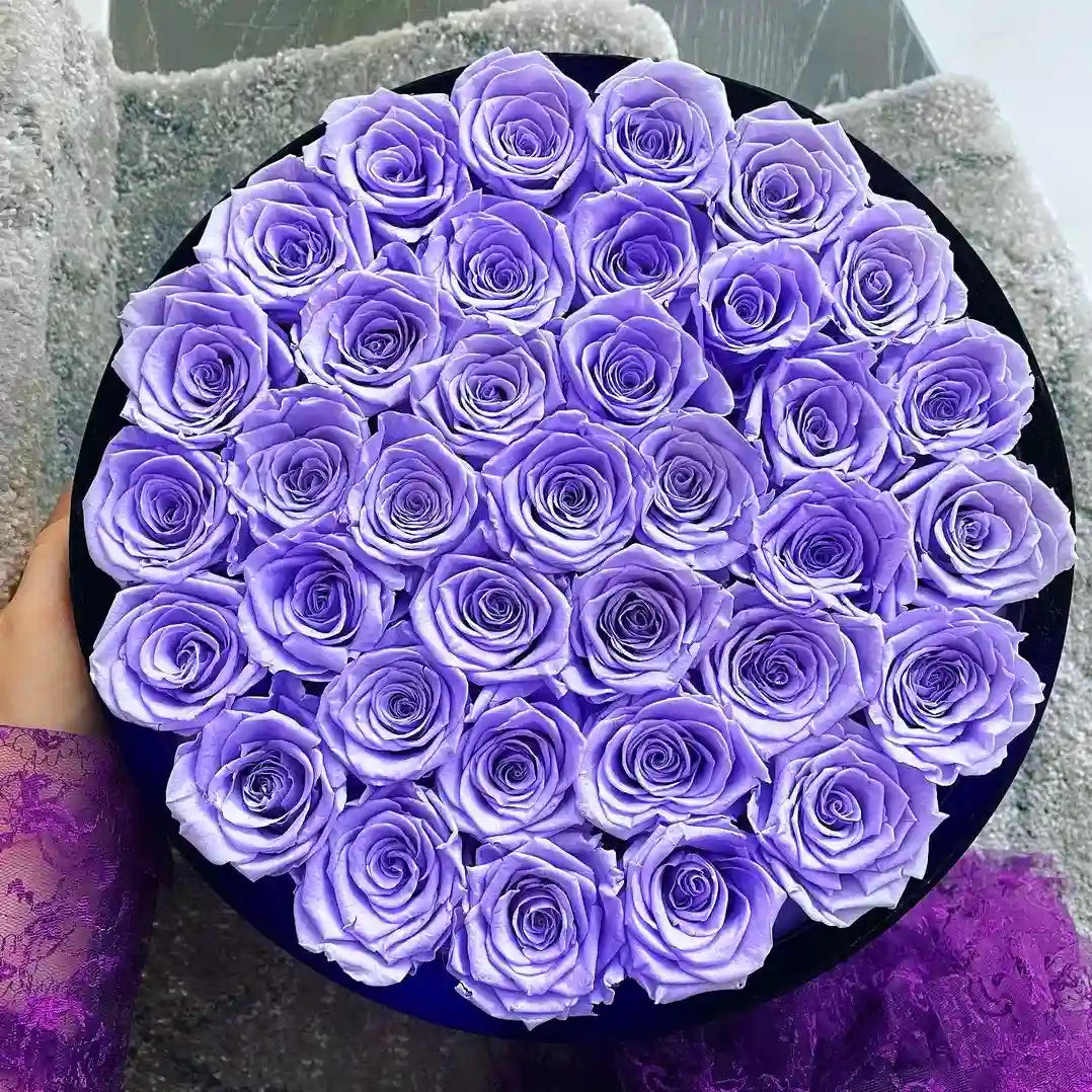 36 Lavender Roses - Black Round Velvet Box