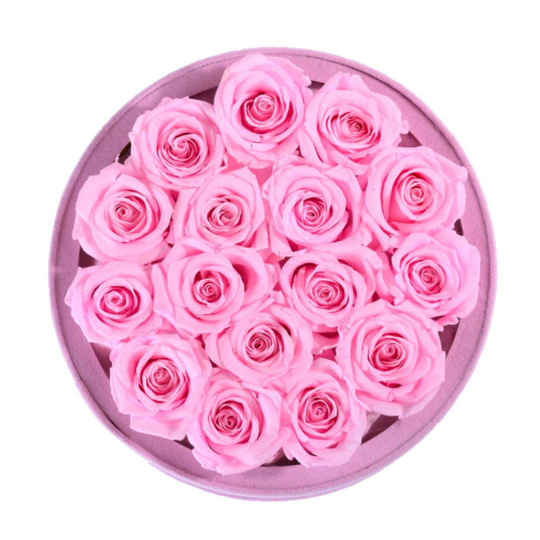 Light Pink Roses suede 16 - Rose Forever