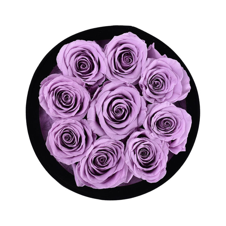 Lilac Roses velvet 9 - Rose Forever
