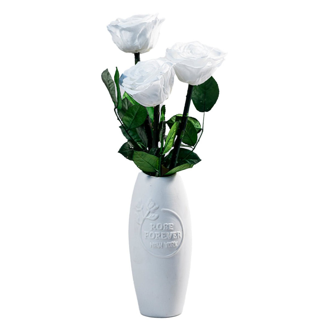 Long Fleur Blanche - Long - stemmed White Roses in a White Vase - Rose Forever