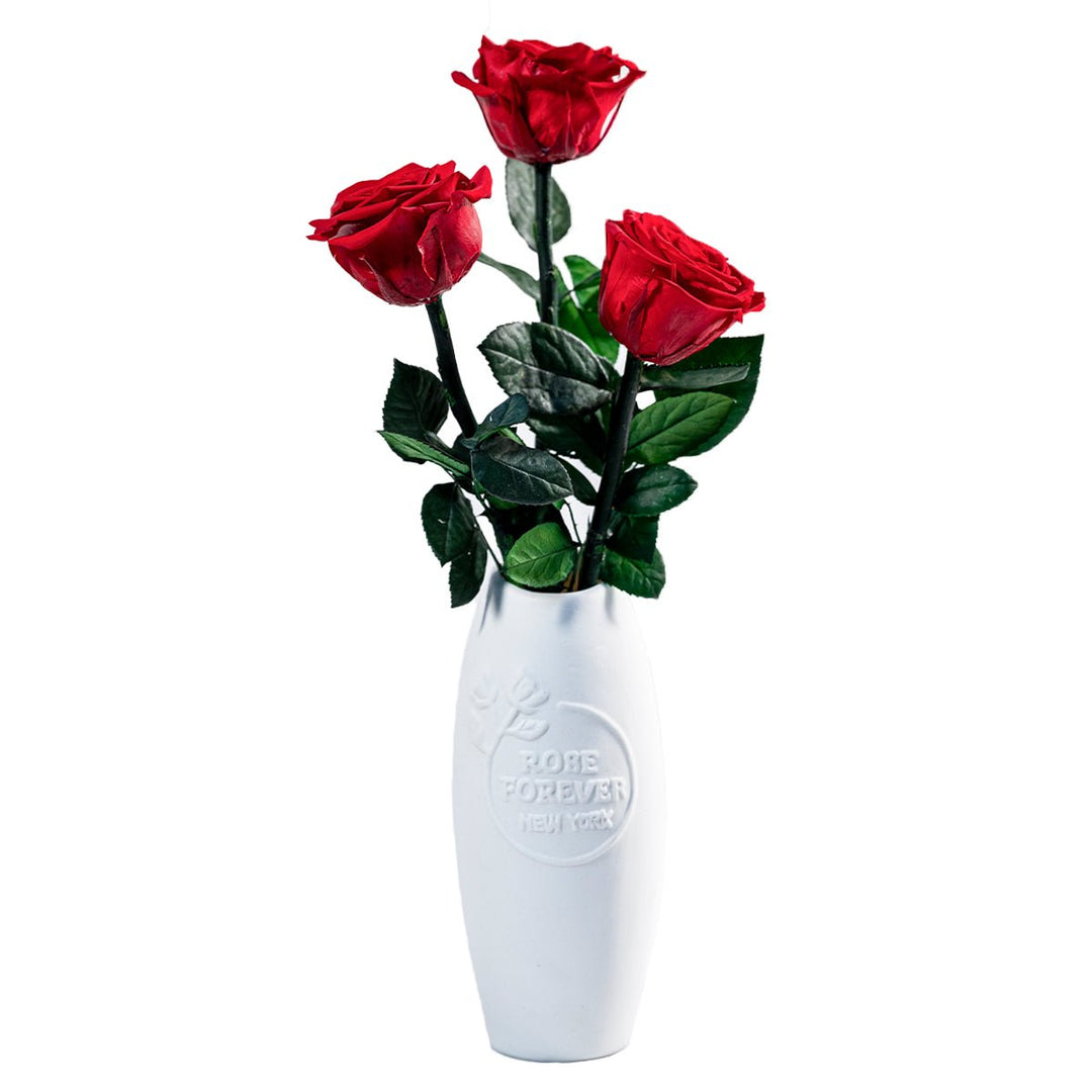 Long Fleur Rouge - Long - stemmed Red Roses in a White Vase - Rose Forever