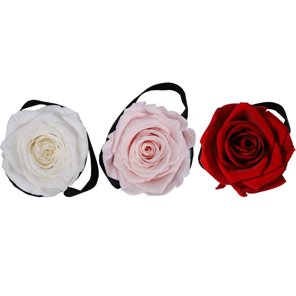 Forever Roses Mini Single Roses Delivery – Rose Forever