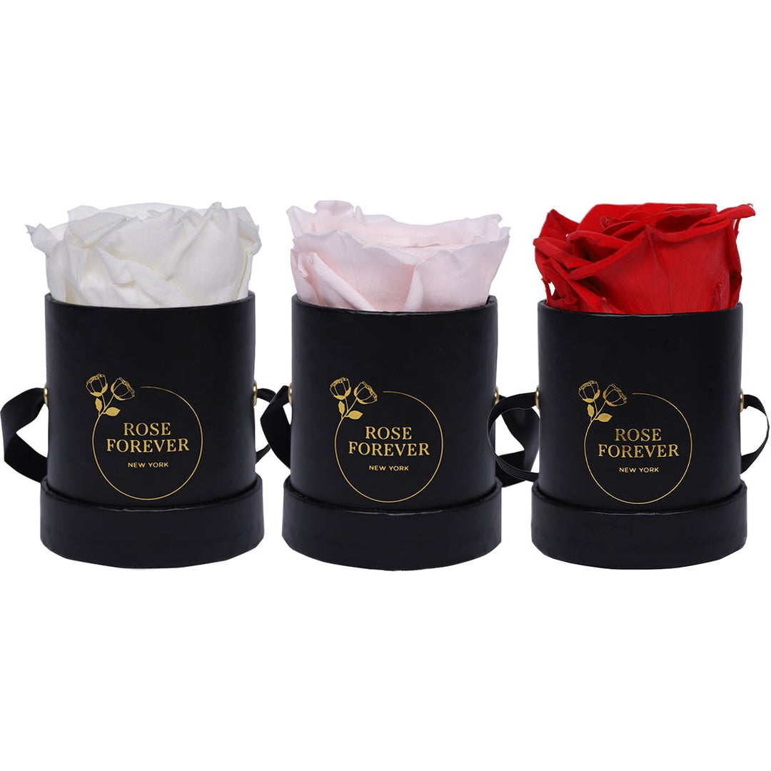 Single Roses Delivery – Rose Forever