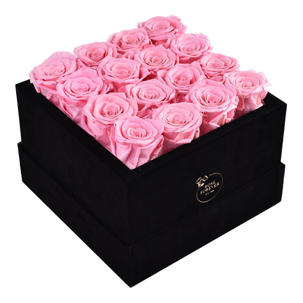 Pink Roses Velvet 16 - Rose Forever