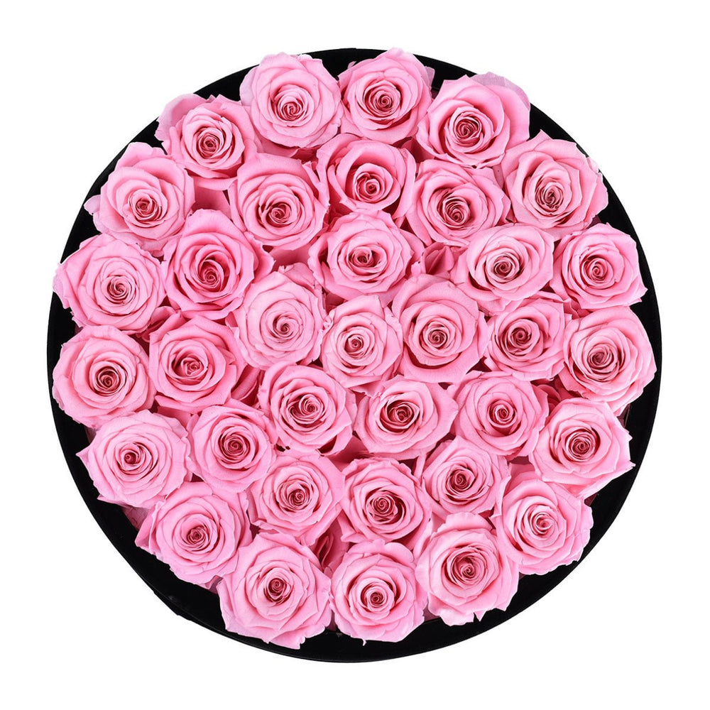 Pink Roses velvet 36 - Rose Forever