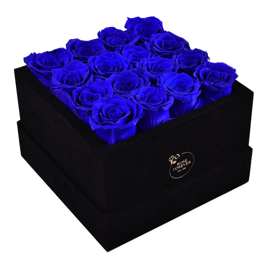 Royal Blue Roses Velvet 16 - Rose Forever
