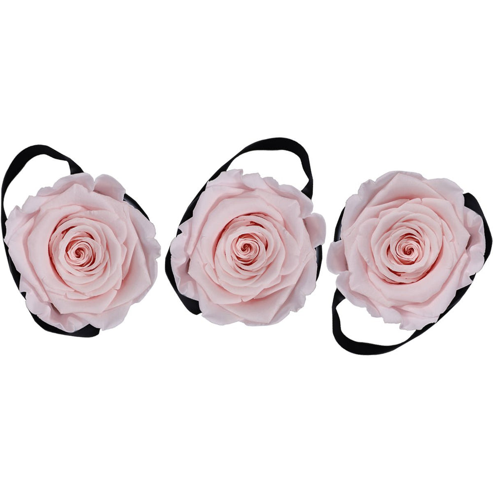 Trio of Mini Pink Roses - Rose Forever