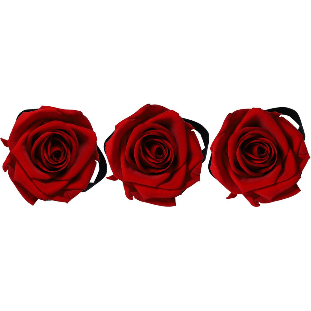 Trio of Mini Red Roses - Rose Forever