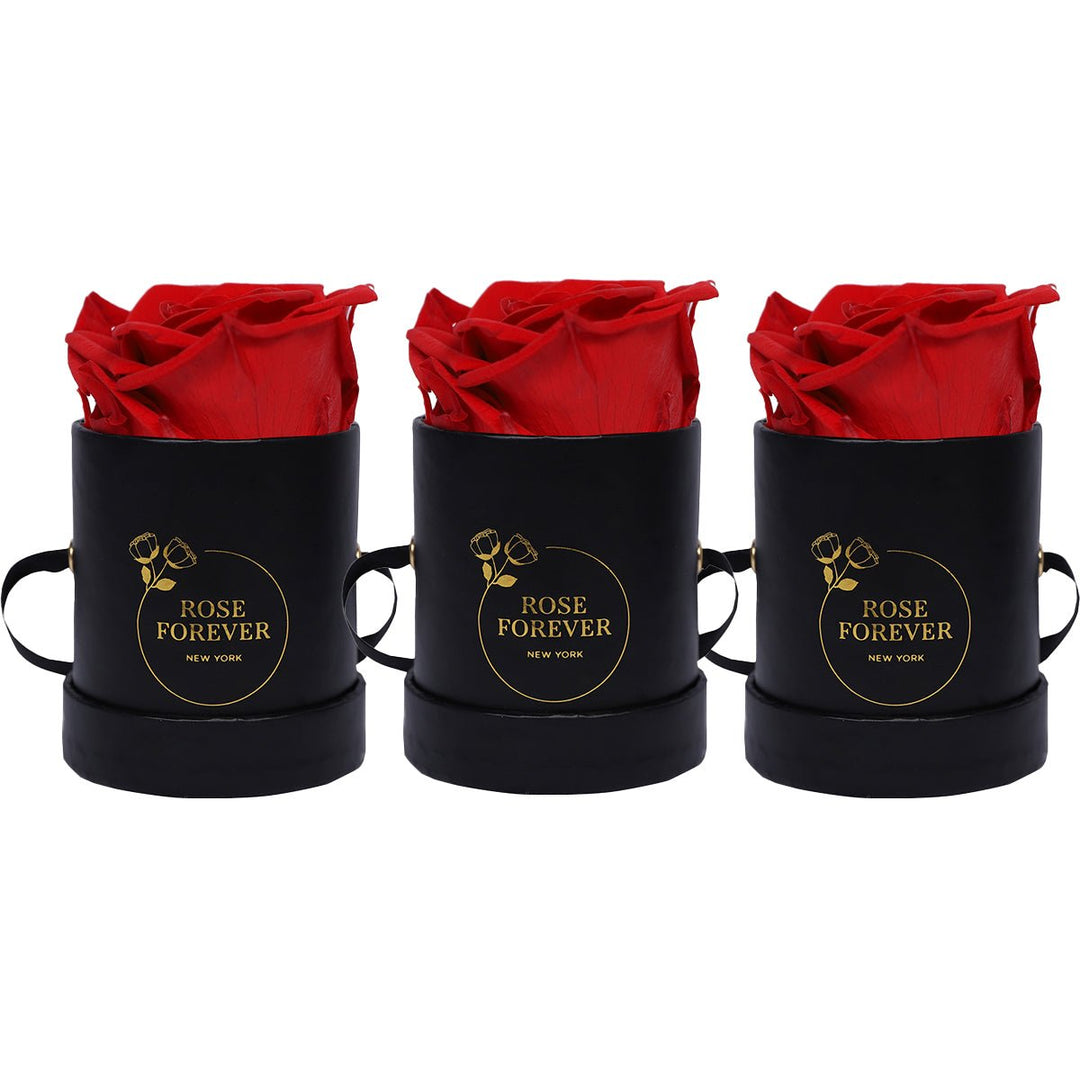 Rose Trio Delivery - Three Single Roses – Rose Forever