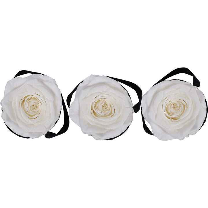 White Forever Roses Delivery – Rose Forever
