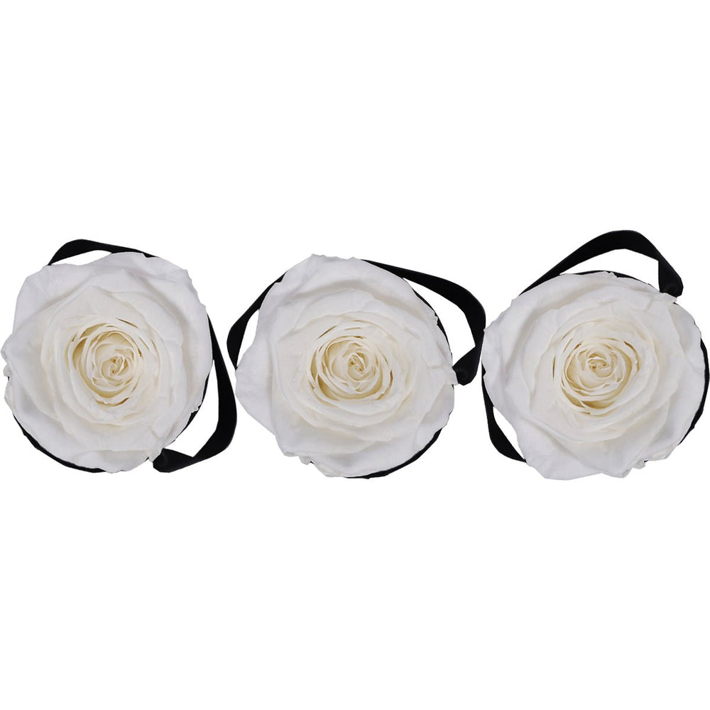 Trio of Mini White Roses - Rose Forever