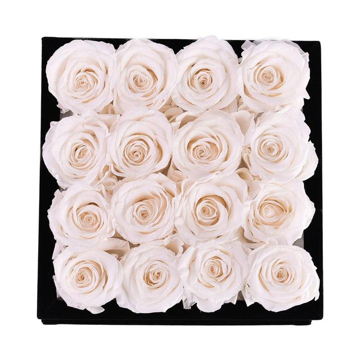White Roses velvet 16 - Rose Forever