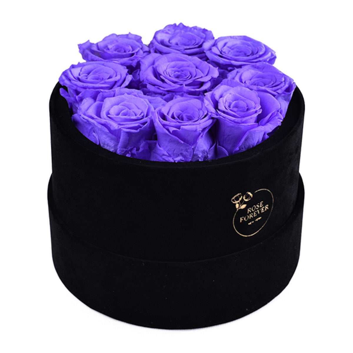 Essential Black Velvet Lavender 9 | Rose Forever 