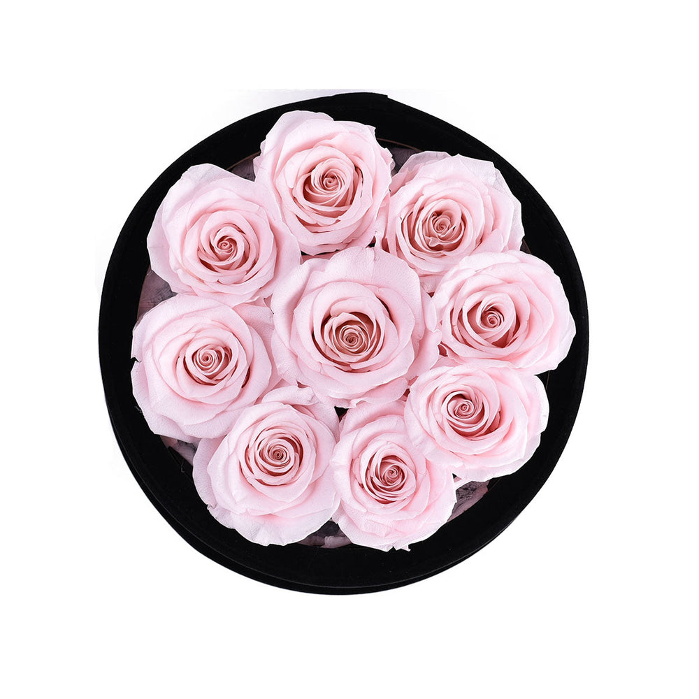 Essential Black Velvet Light Pink 9 | Rose Forever 