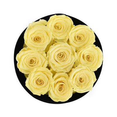 Essential Black Velvet Yellow 9 | Rose Forever 