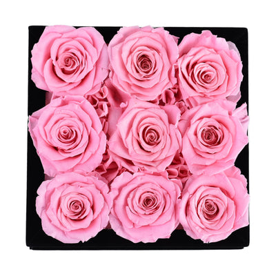 Essential Black Velvet Pearl Pink 9 | Rose Forever 