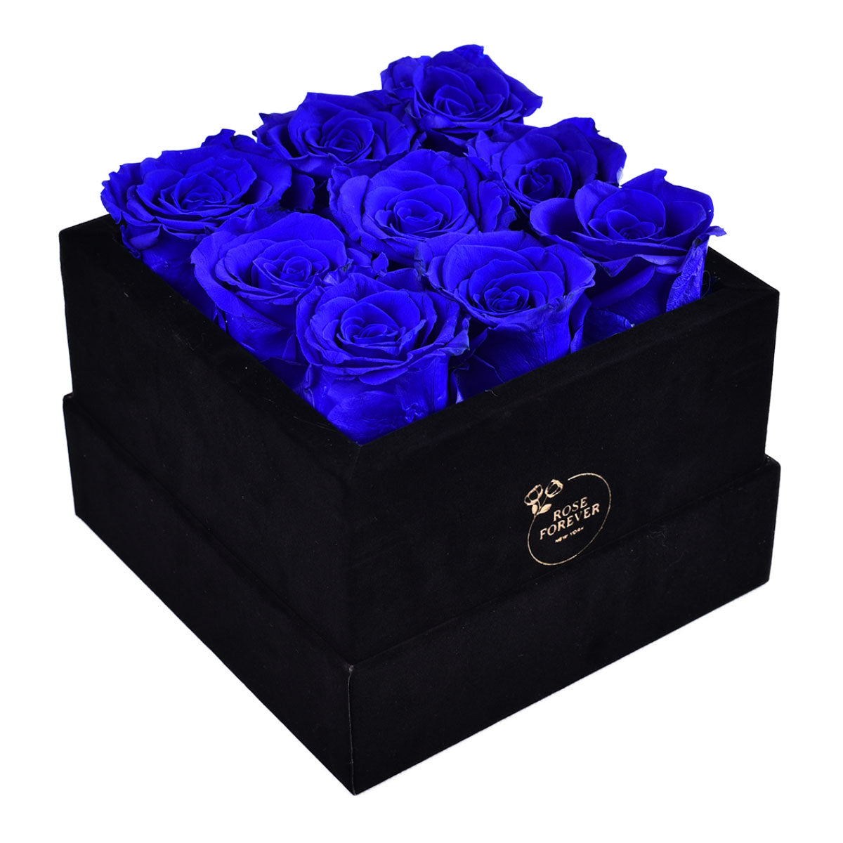 Essential Black Velvet Royal Blue 9 | Rose Forever 