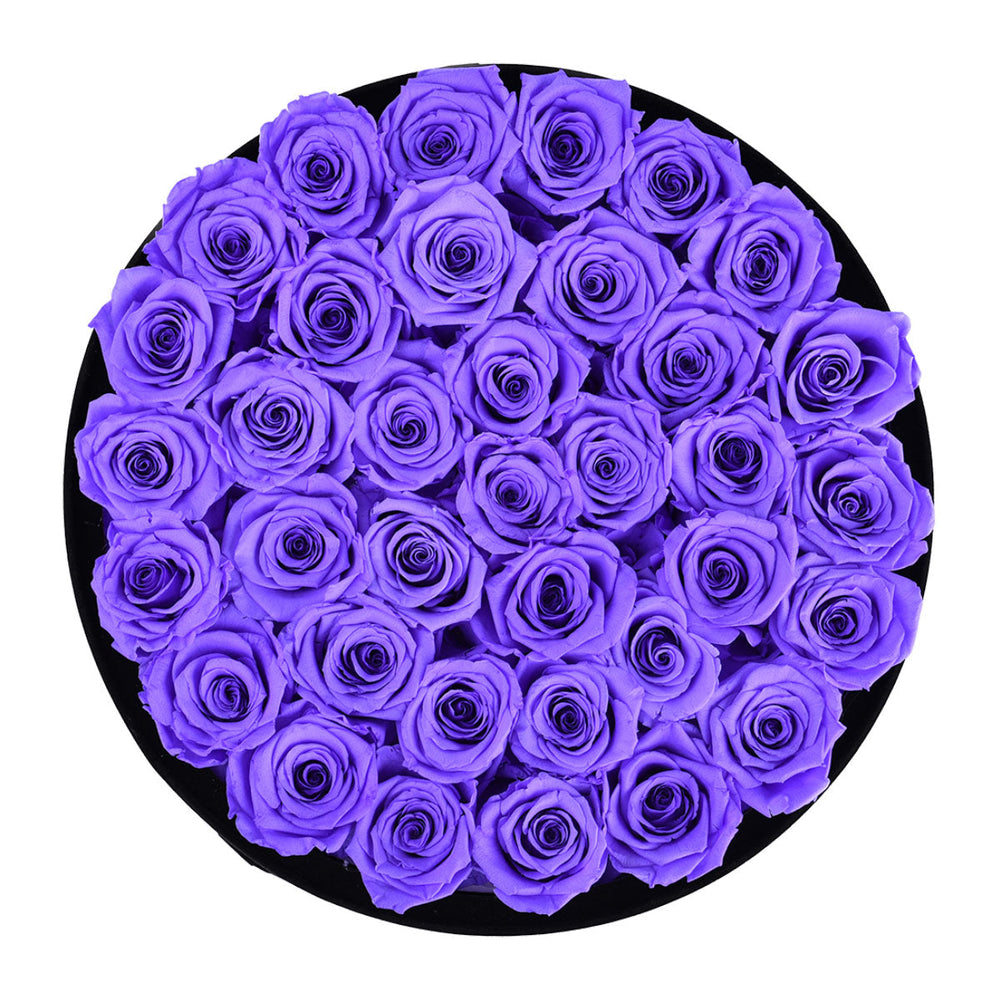 Intense Black Velvet Lavender 36 | Rose Forever 