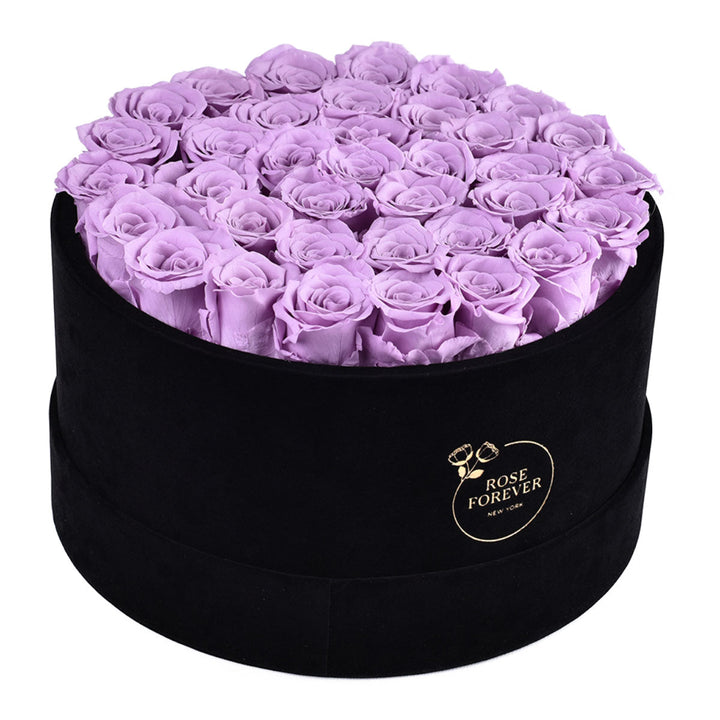 Intense Black Velvet Lilac 36 | Rose Forever 
