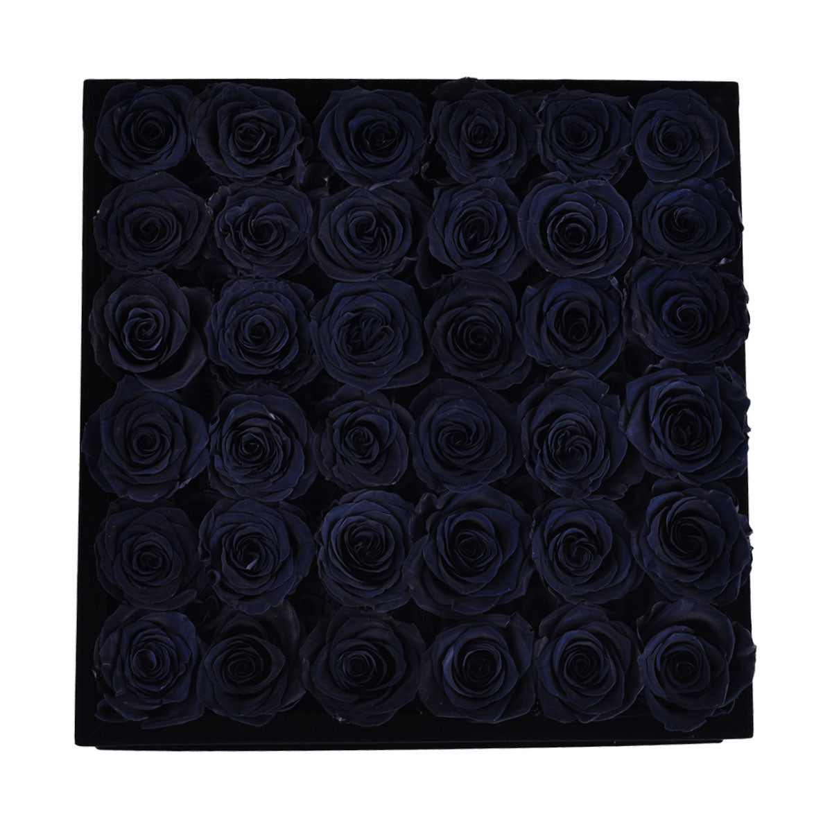 Intense Black Velvet Black 36 | Rose Forever 