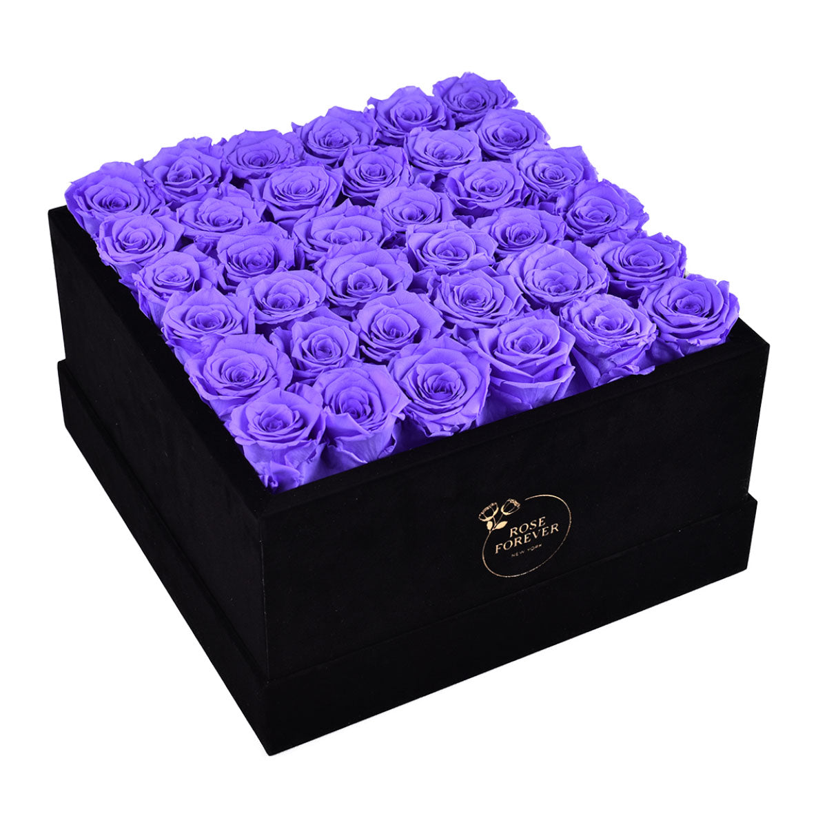Intense Black Velvet Lavender 36 | Rose Forever 
