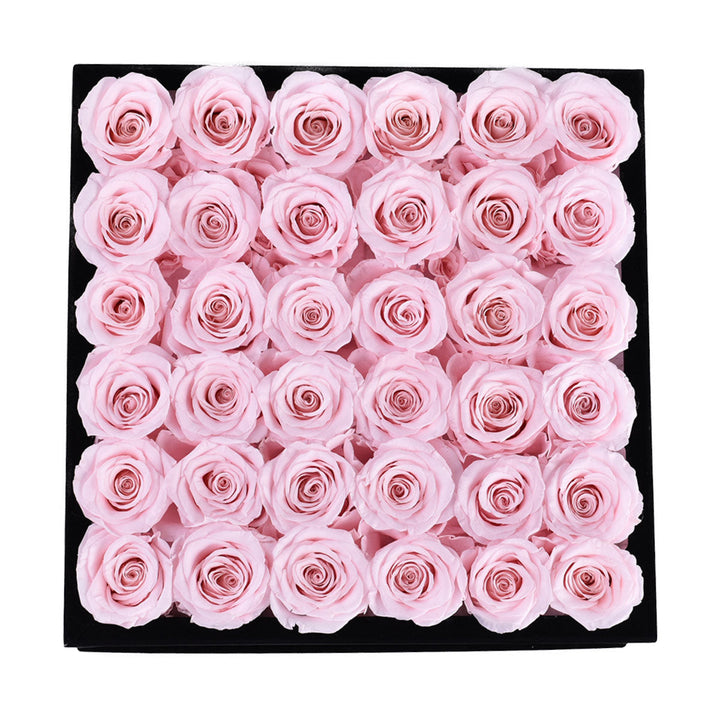 Intense Black Velvet Light Pink 36 | Rose Forever 