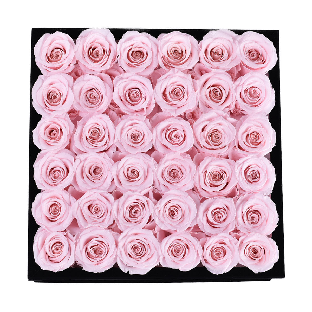 Intense Black Velvet Light Pink 36 | Rose Forever 
