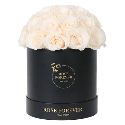Dome Ivory 35 | Rose Forever 
