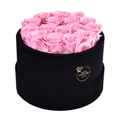 16 Pink Roses - Black Round Velvet Box