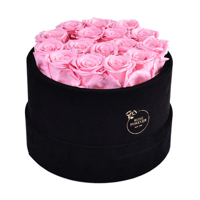 Passion Black Velvet Pearl Pink 16 | Rose Forever 