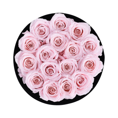 Passion Black Velvet Light Pink 16 | Rose Forever 