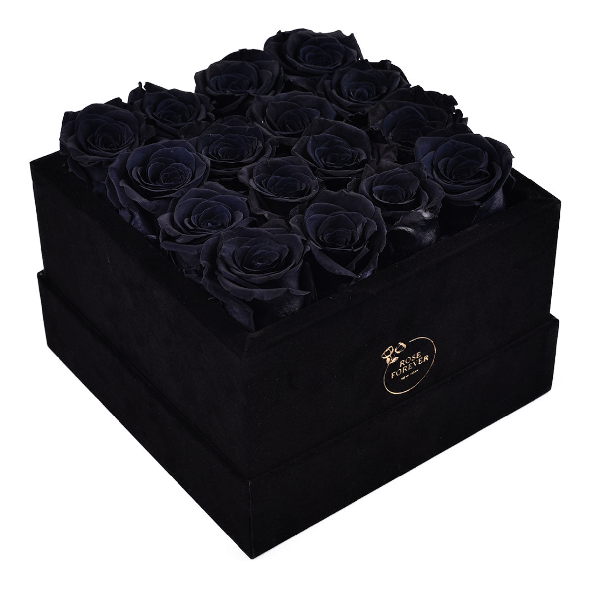 Passion Black Velvet Black 16 | Rose Forever 