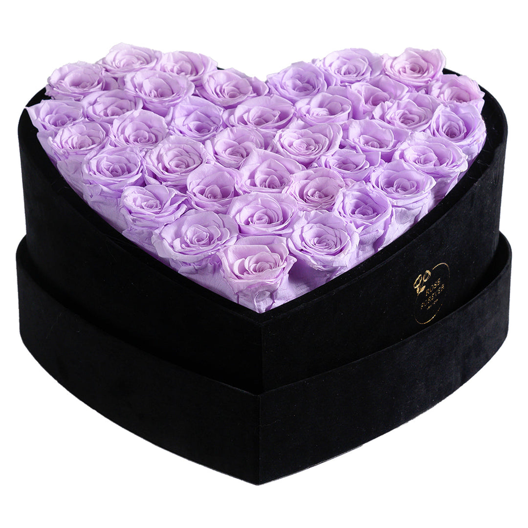 Intense Love Black Velvet Lilac 36 | Rose Forever 