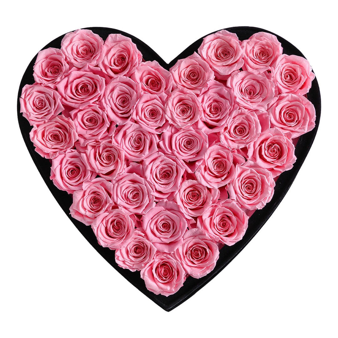 Intense Love Black Velvet Pearl Pink 36 | Rose Forever 