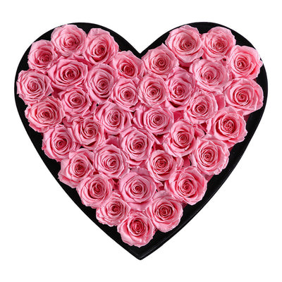 Intense Love Black Velvet Pearl Pink 36 | Rose Forever 