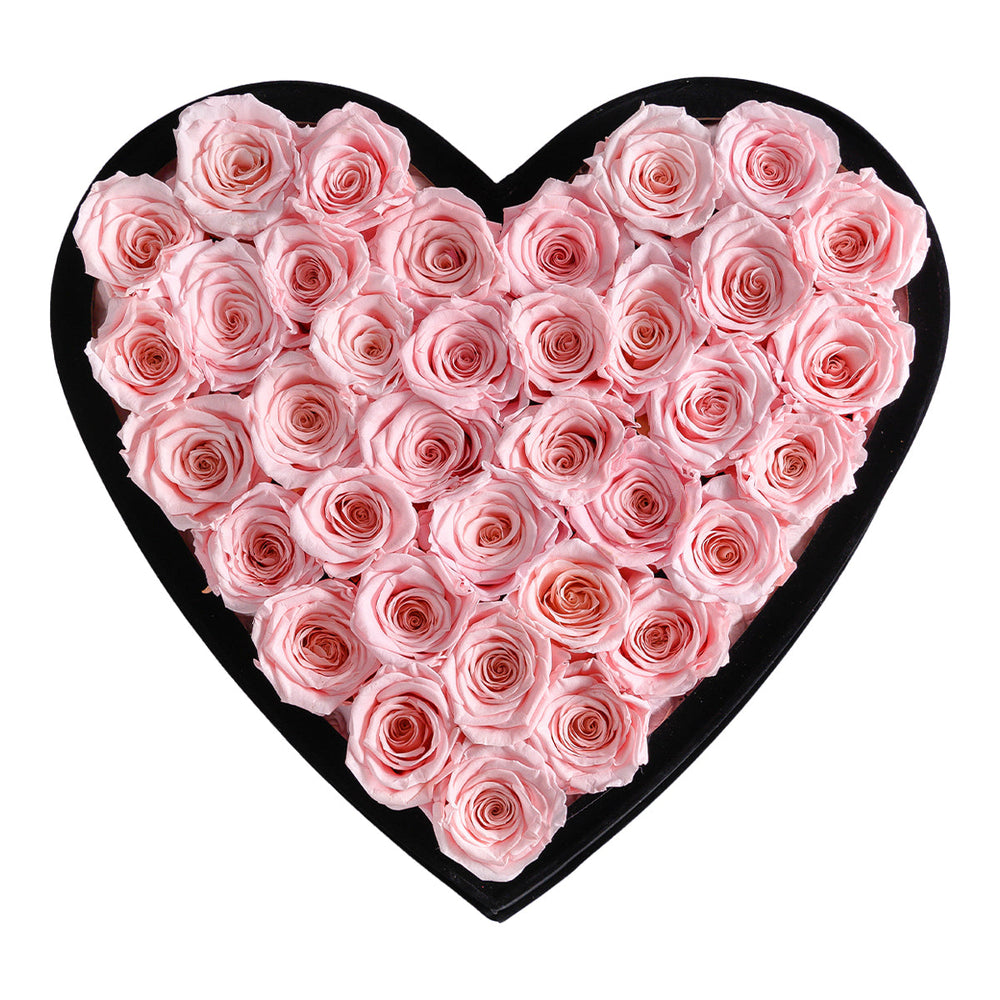 Intense Love Black Velvet Pink 36 | Rose Forever 