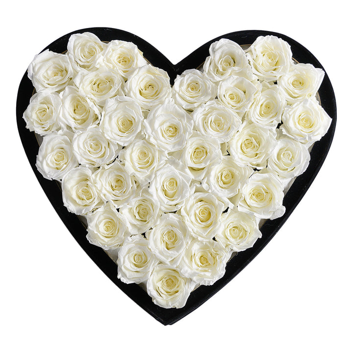 Intense Love Black Velvet White 36 | Rose Forever 