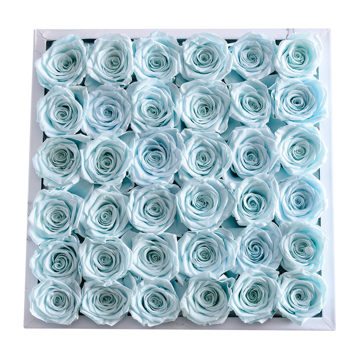Intense White Marble Blue 36 | Rose Forever 
