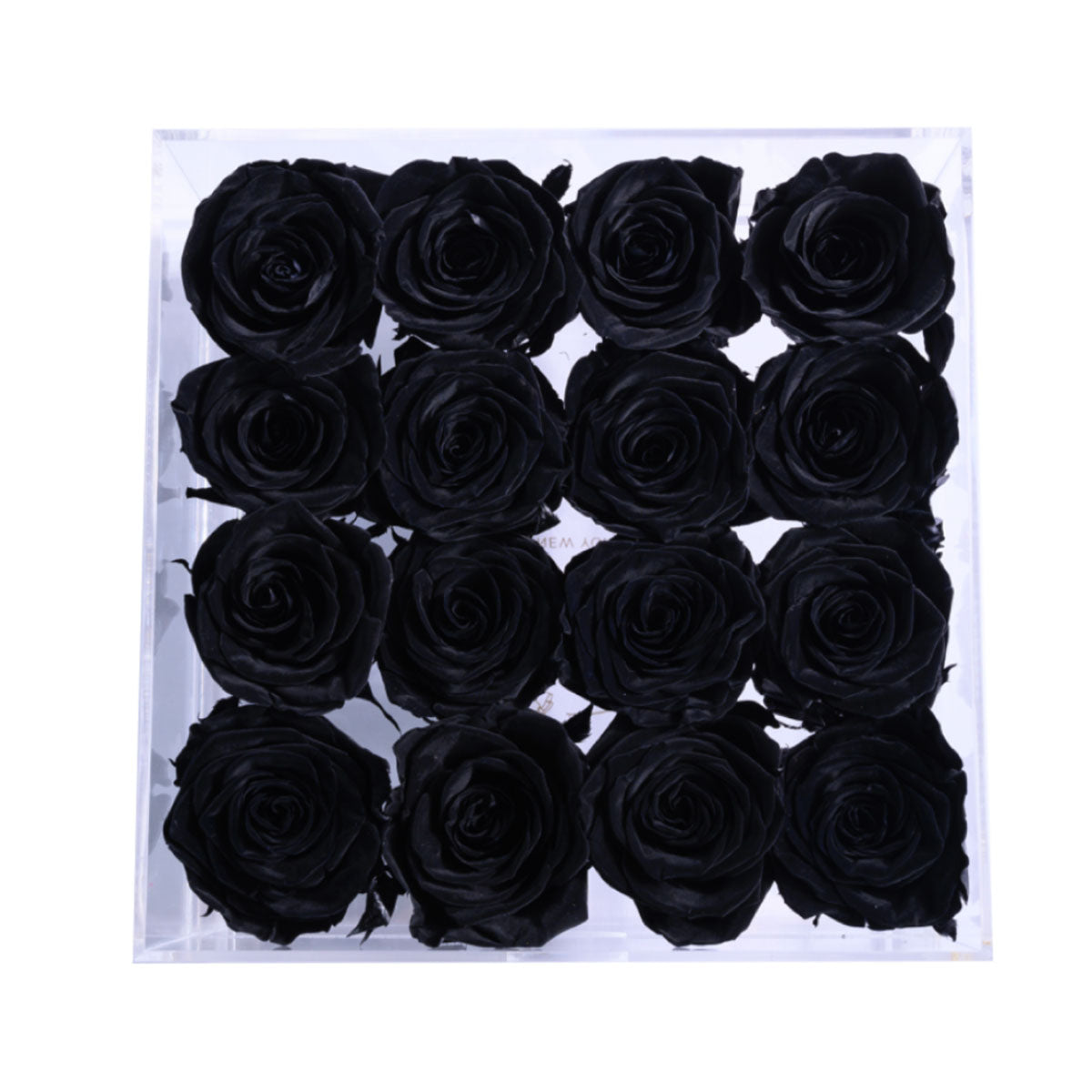 Passion Crystal Black 16 | Rose Forever 