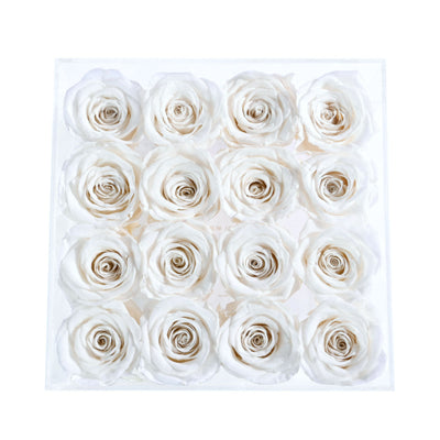 Passion Crystal White 16 | Rose Forever 
